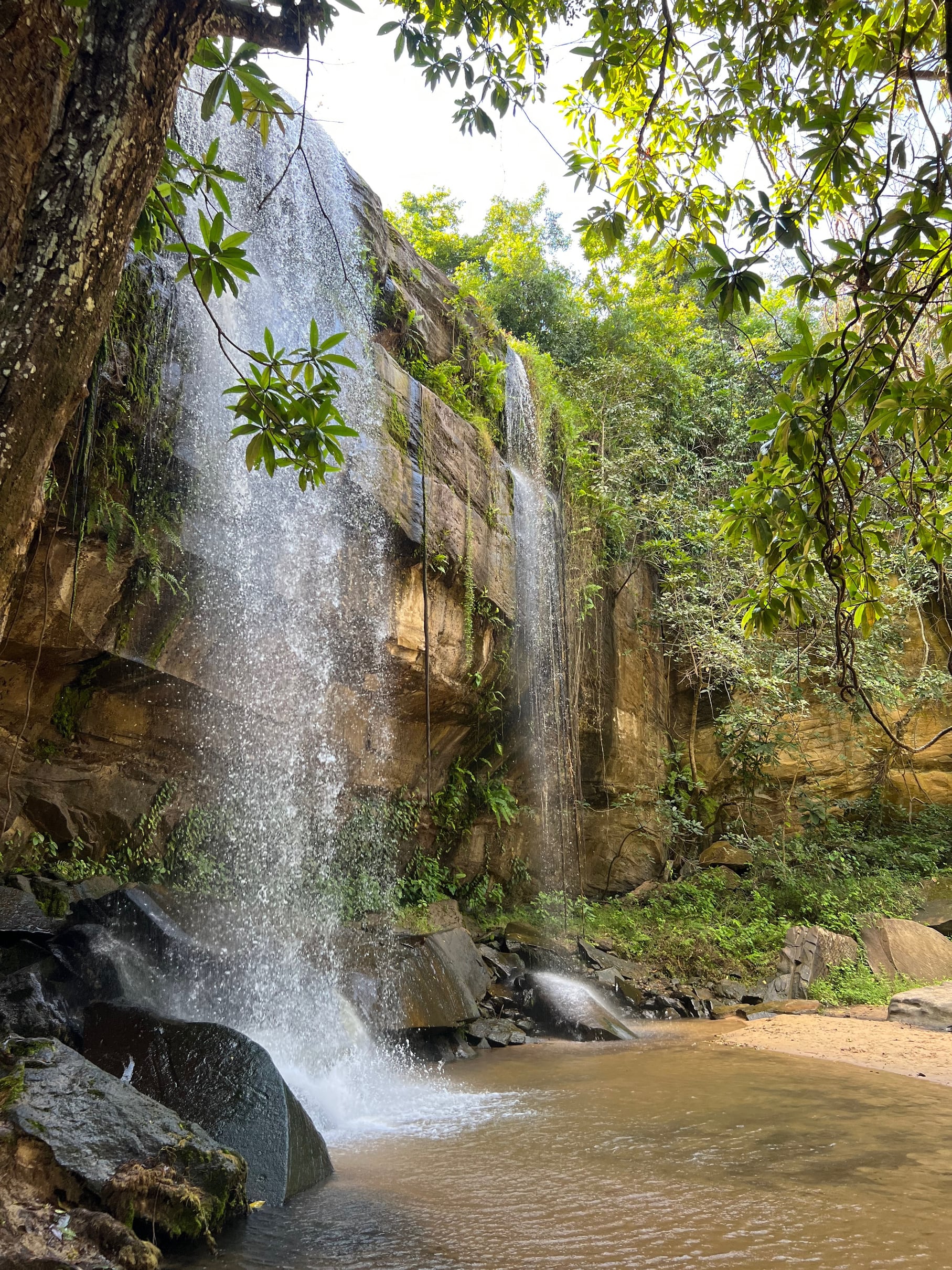 Hike Sheldrick Falls