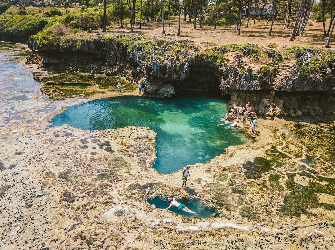 Explore the African Pool in Tiwi