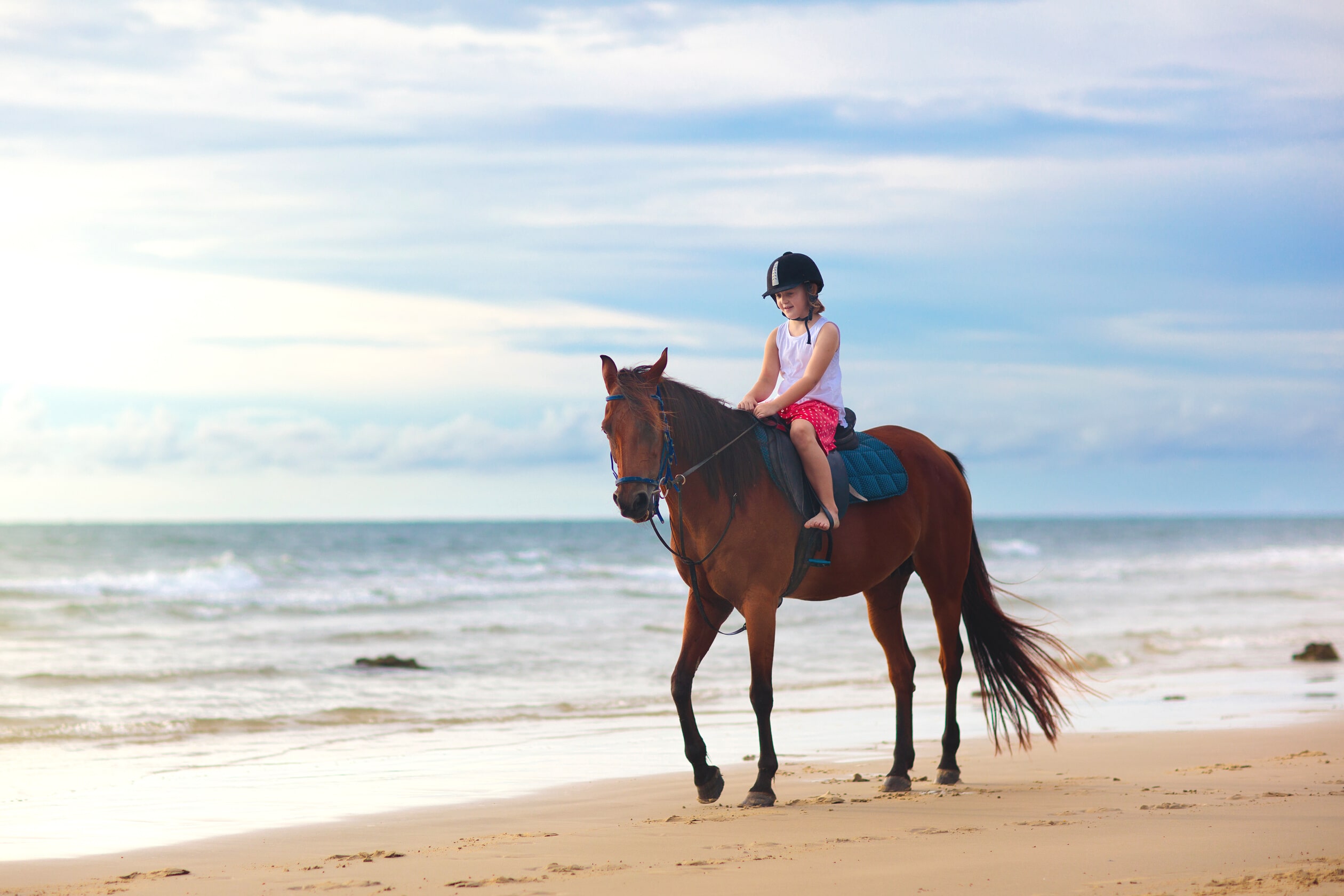 Horseback Riding on the Beach