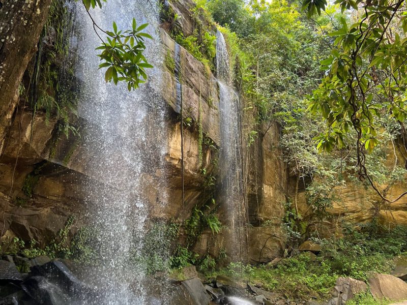 Hike Sheldrick Falls