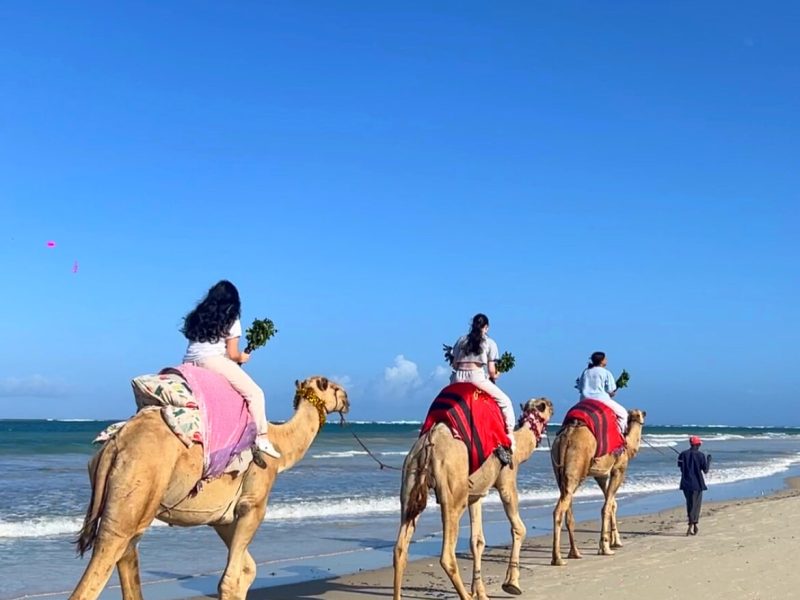 Beach Camel Ride